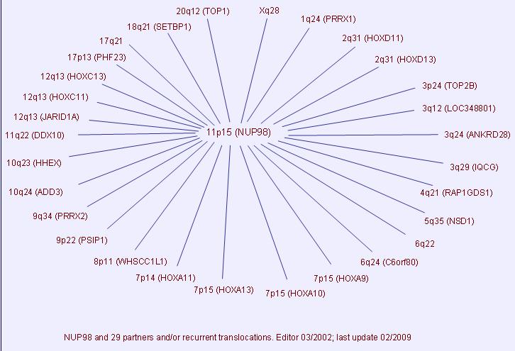 靶向药没有效果重新做基因检测,靶向治疗第二次没有基因突变