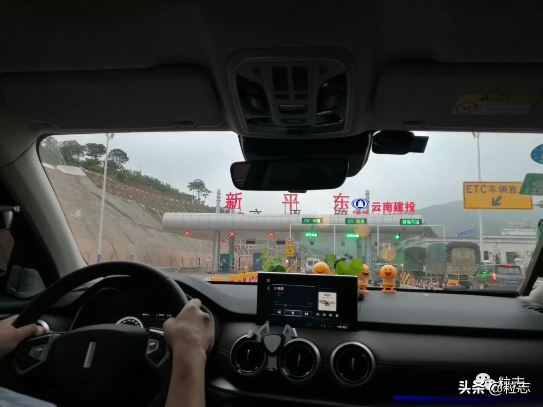 老伙,你的橙子离你更近了……|粒志