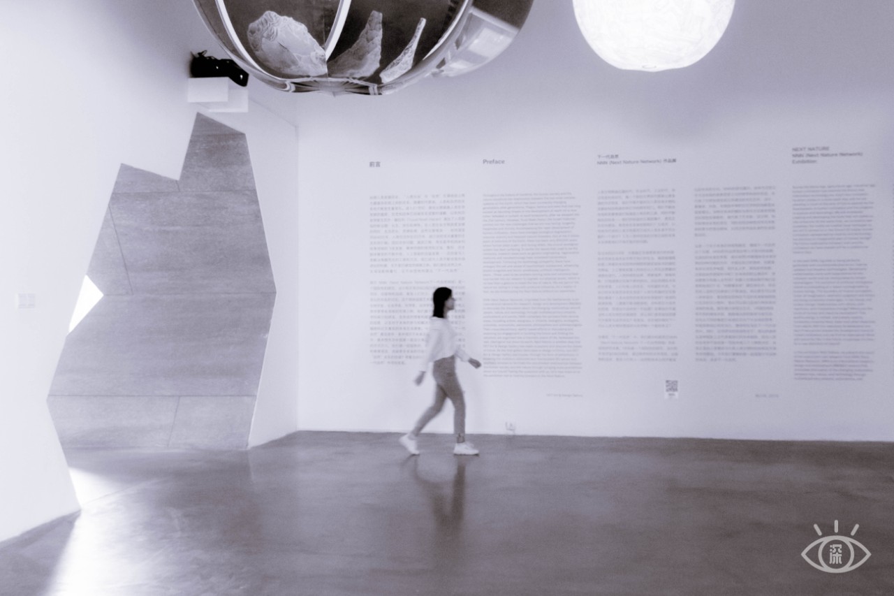 深圳福田美术馆,深圳艺术博物馆有什么值得看的