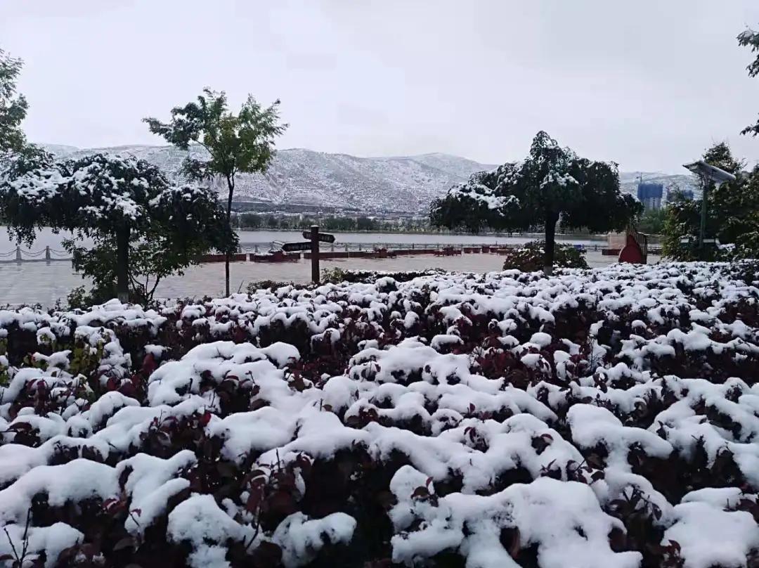 平凉崆峒区四路车现在停运了吗,平凉长途客车停运了吗