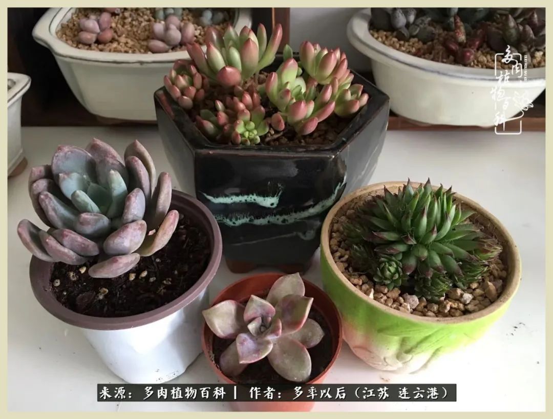 多去花前谈以后，少来月下忆当年