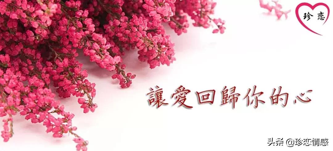 老公惹老婆生气怎么哄老婆,老婆生气了老公应该怎么哄