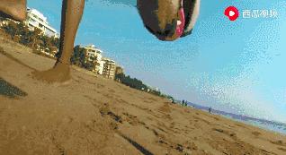 流浪狗狗遇到爱它的主人,流浪狗需要被疼爱