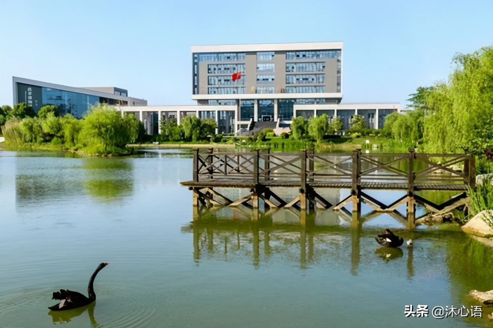 新高考志愿填报学校排名,新高考志愿报考院校专业全攻略