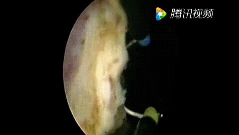 中老年人最大的困惑是什么,中老年男性问题怎么解决的