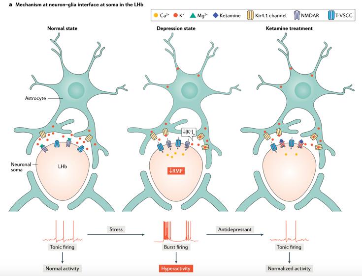 氯醛酮治疗抑郁症的作用机理,抗抑郁药的发展过程