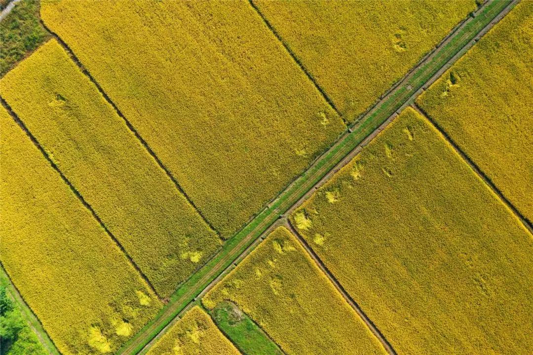 杭州最佳赏秋路线推荐,杭州附近赏秋的地方