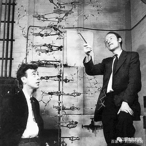 黑人真的身体最强，智商最低吗？为何没有黑人军事家、科学家？