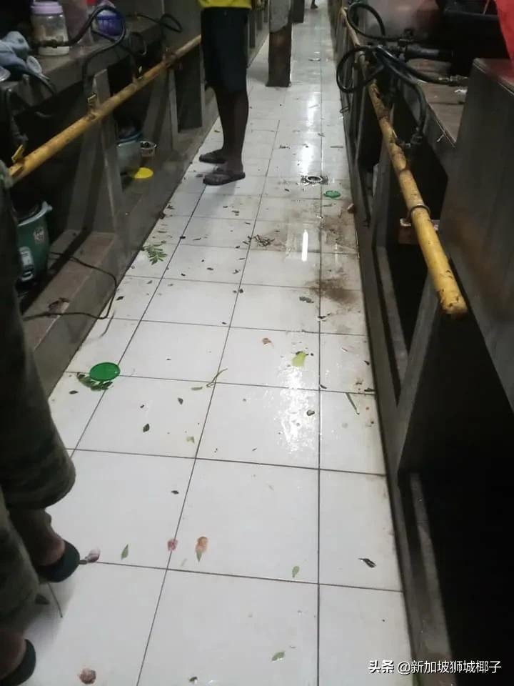 新加坡隔离一日三餐伙食,新加坡高档隔离餐