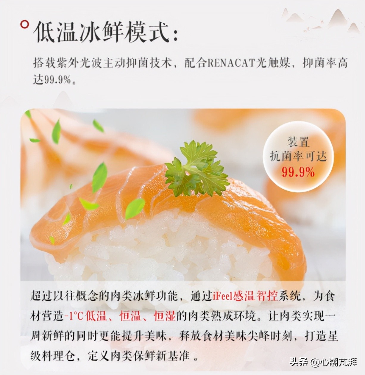 日系德系冰箱对比,德系和日系冰箱哪个好