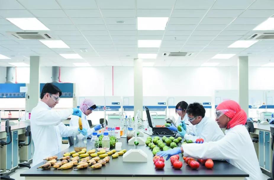 诺丁汉马来西亚校区硕士,马来西亚诺丁汉大学硕士简介