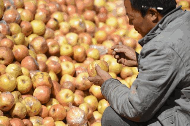 在石家庄一个月工资3800算低吗,在石家庄你的收入是多少