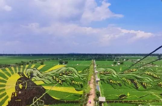 走向我们的小康生活非遗篇,走向我们的小康生活科普