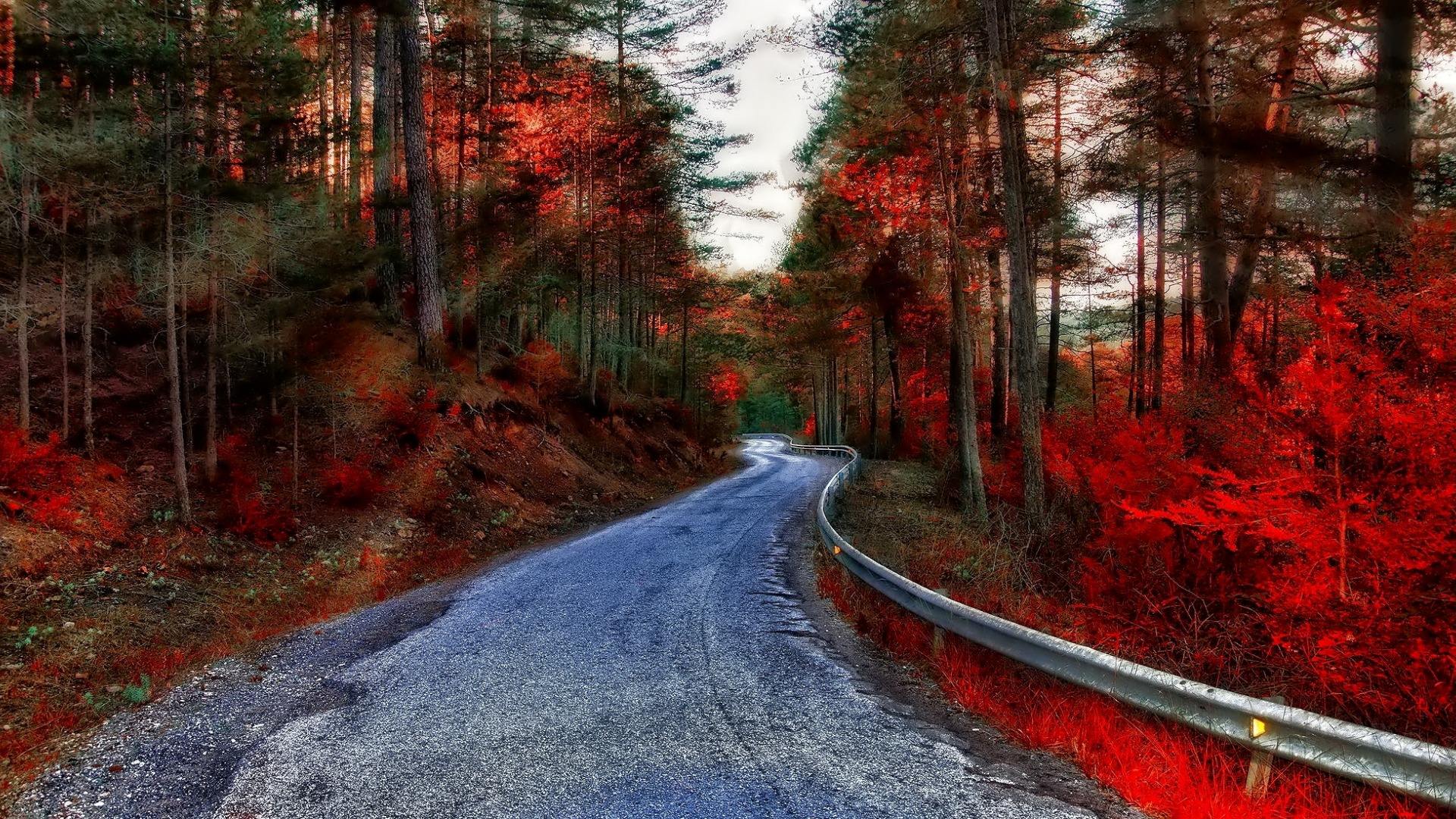 11月这个季节适合去哪里旅游最好,惬意的秋天最适合去旅行