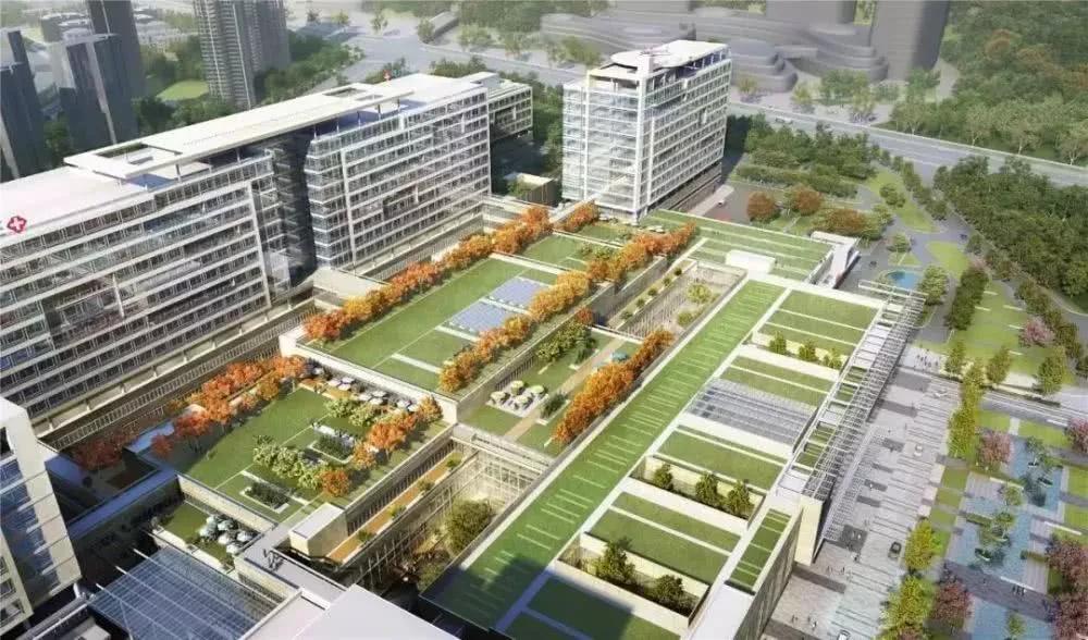 成都这个生物医药领域的“闯入者”凭啥吸引京东方辉瑞等名企？