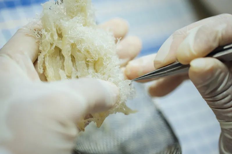 燕窝有泡沫怎么回事,为啥燕窝都是泡沫