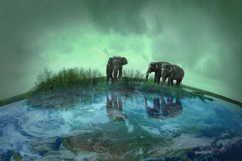 高效记单词初中,高效识记单词