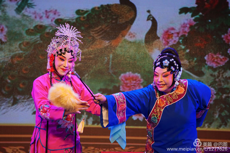 曲剧花为媒经典唱段全场,曲剧花为媒报花名完整唱段