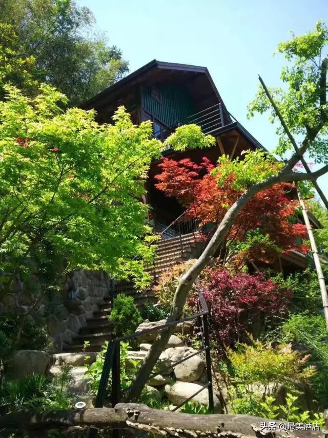 为一姑娘,10年他把30亩荒地打造成梦想家园,让人懂得真爱的意义