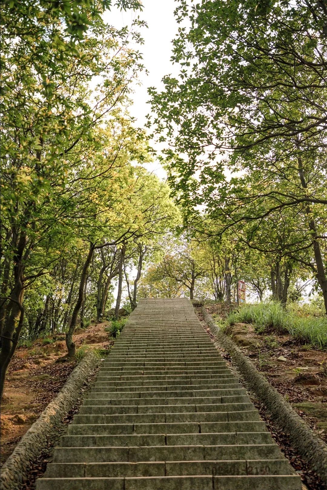 放假在深圳能去哪里玩,放假了可以去深圳的哪些地方玩