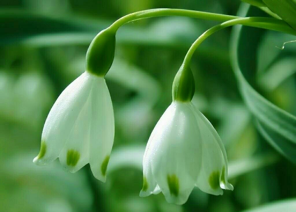 各种癌症骨转移的生存率有多高,癌症骨转移是最严重的吗