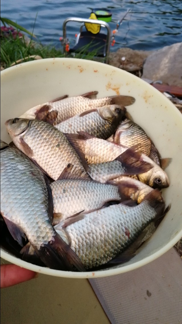 重铅找底和半水调漂有什么区别,这才是漂移的最高境界