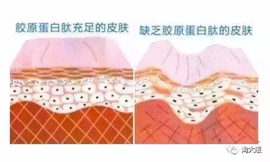 资生堂胶原蛋白口服液产品介绍,资生堂胶原蛋白口服液有几款