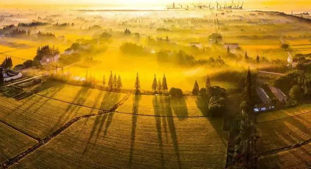 吵翻了!上海16个区终于正面PK!哪个是你心中的“扛把子”?