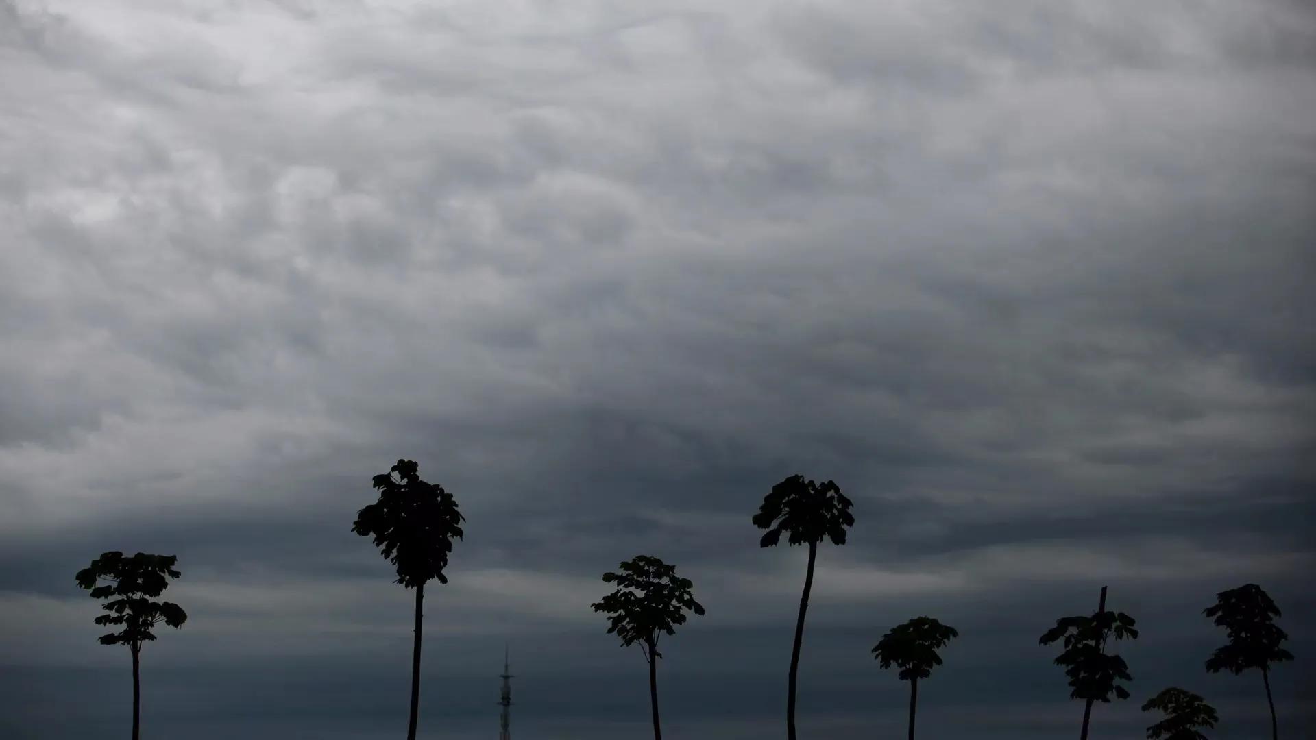 柔光罩雨后摄影,雨后初晴p3参数