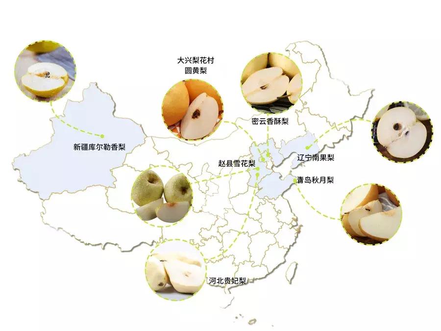 哪种梨最好吃又实惠,最好吃的十款梨