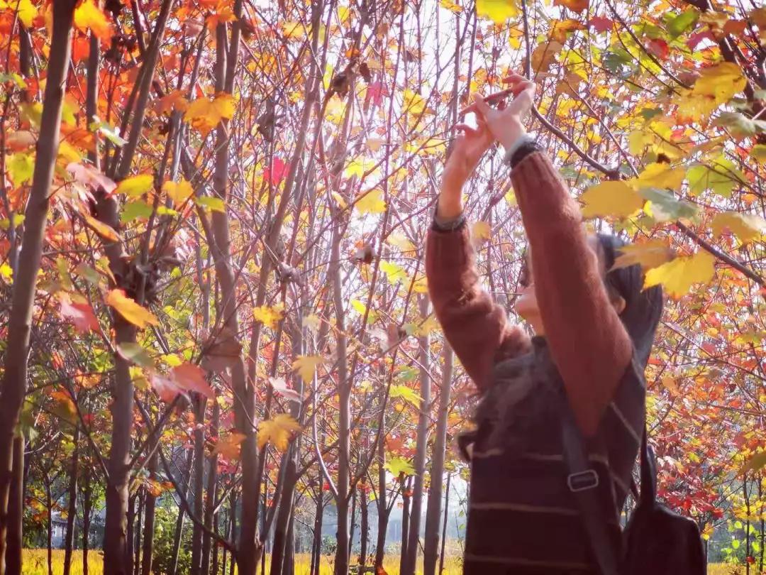 冬季护肤之祛斑正当时——光电治疗