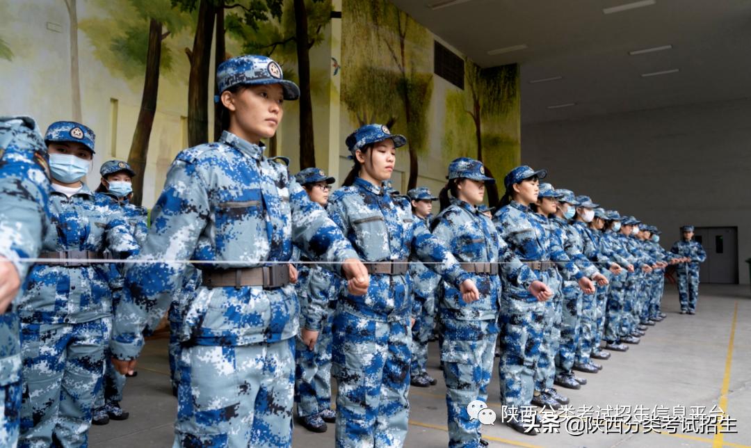 汽车领域黄埔|西安汽车职业大学