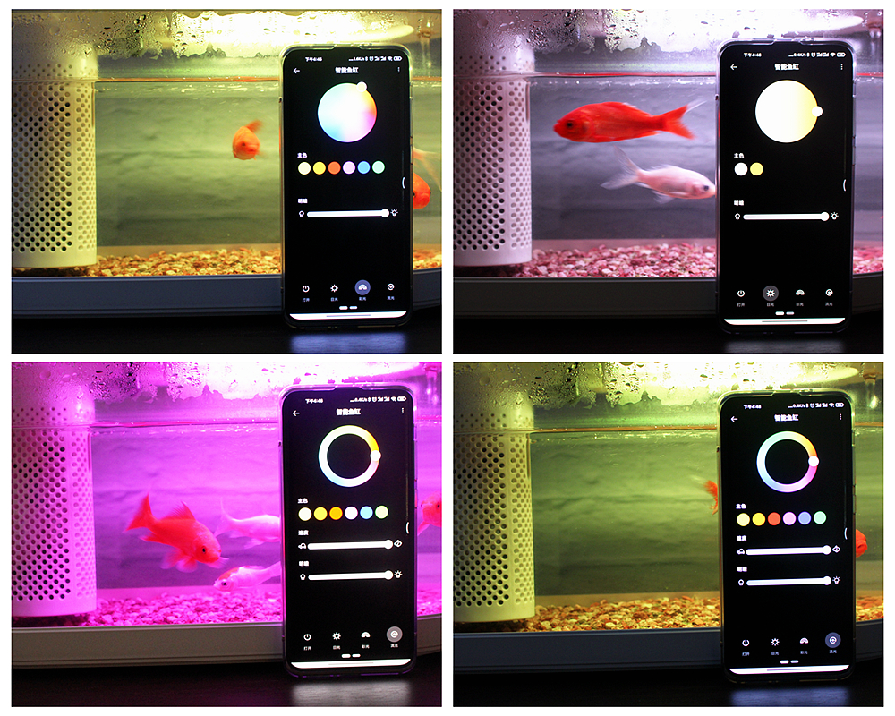 养鱼日记森森鱼缸,水族箱造景养鱼日记