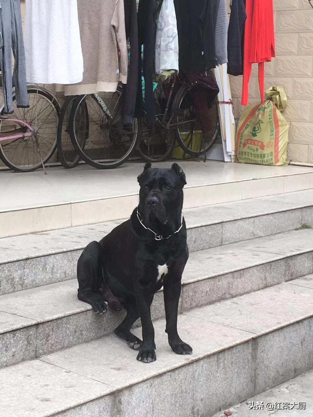 丹徒宝堰老街,丹徒老街老照片