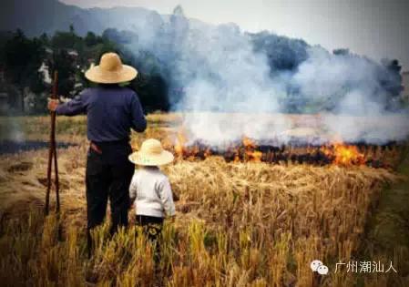 潮汕女孩子小名叫什么好,潮汕女孩小名乳名大全