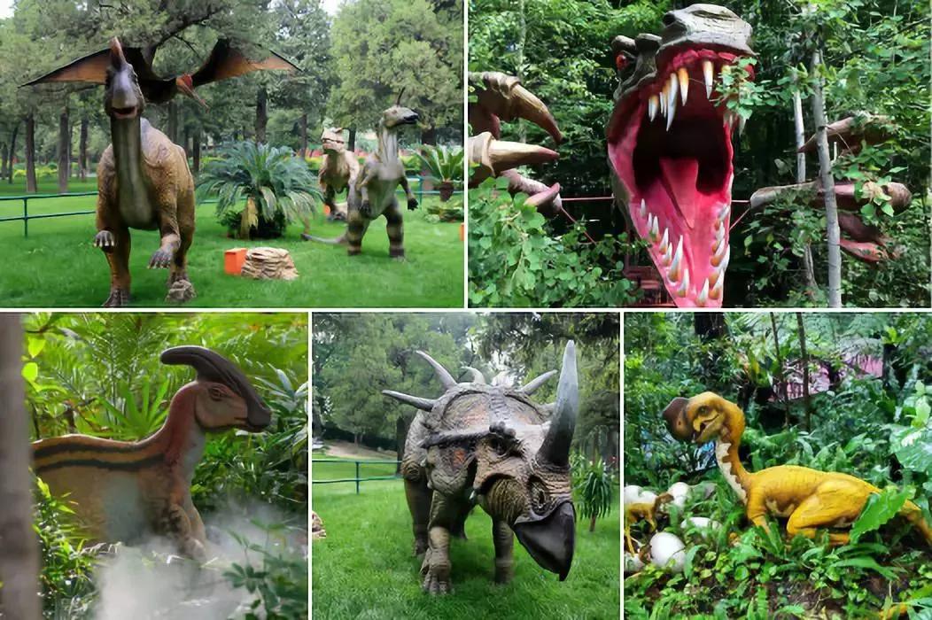 东南花都花博园景观,东南花都花博园