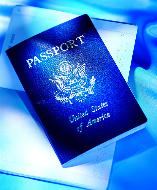 移民留学中介行业分析,旅行社为什么能抢到国博票