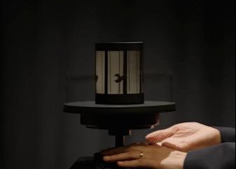 静图变动图视觉错觉,静图会动