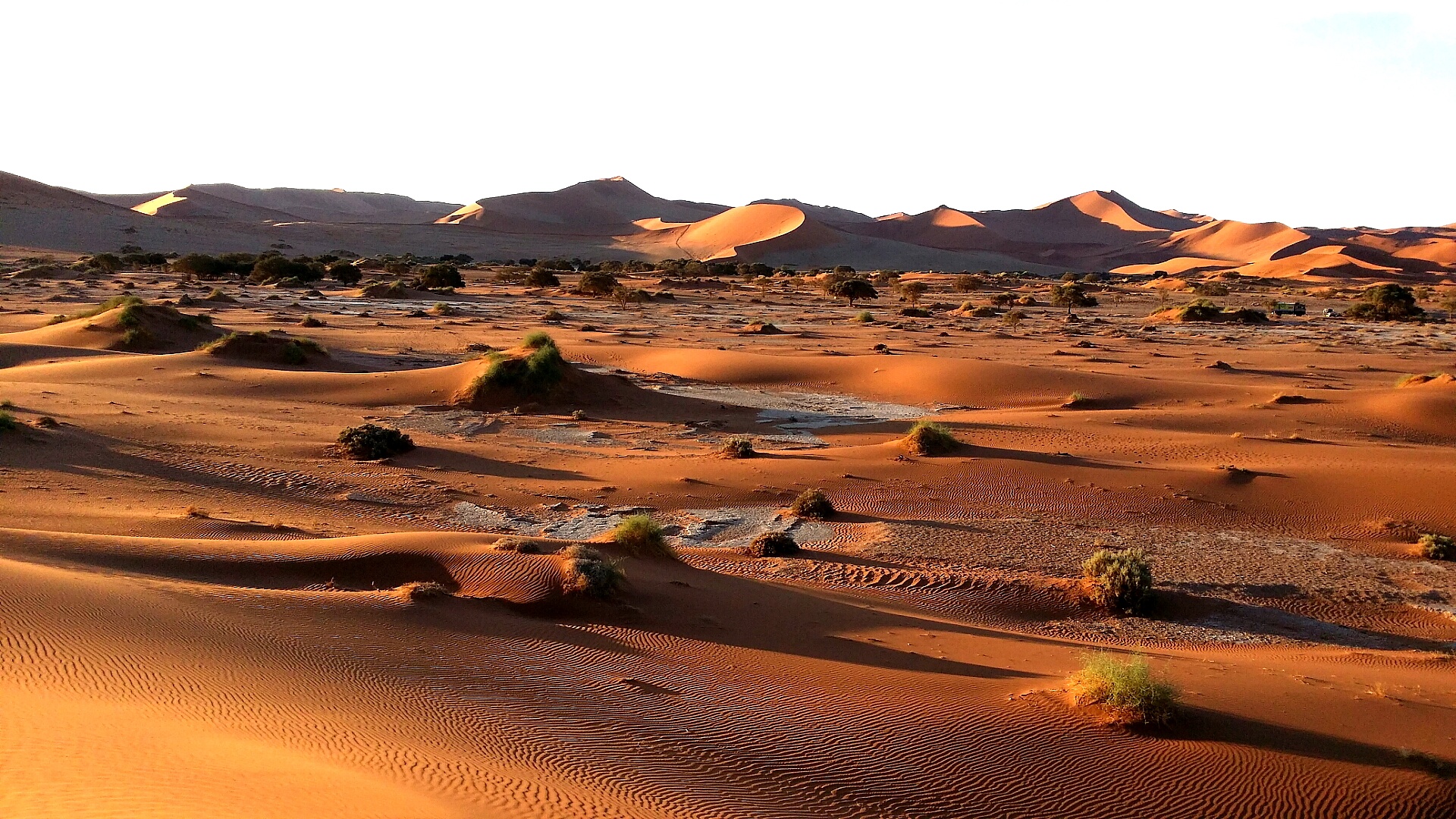 全球砂石价格大涨,日本想用一斤米换一斤沙?中国拒绝了