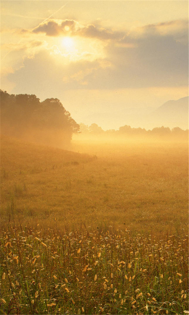 高清壁纸8k风景壁纸,风景壁纸超清手机壁纸