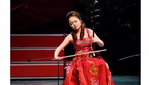 二胡最详细的讲解,二胡的深度解析