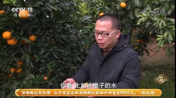 湘潭易湘华,湘潭县易湘华