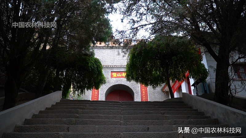 天水到大水川一日游,自驾游到天柱山停哪里最方便