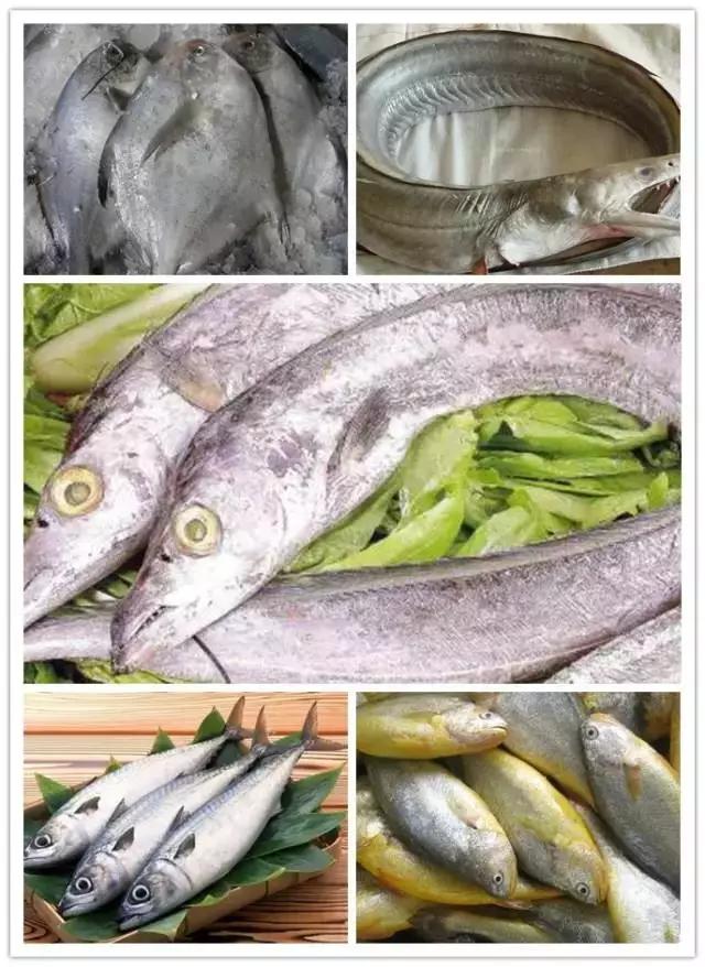 这个季节连云港有什么海鲜,连云港海鲜什么时候比较多