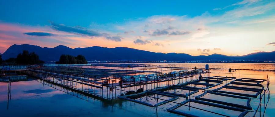 亚龙湾海滩全球第一,天下第一湾亚龙湾海滩