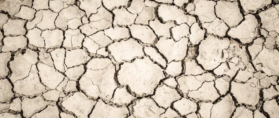 土壤问题严重怎么办？做到这几点，重新焕发土壤活力