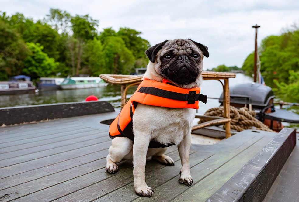 这个星期有啥好看的电影,这两天值得看的电影