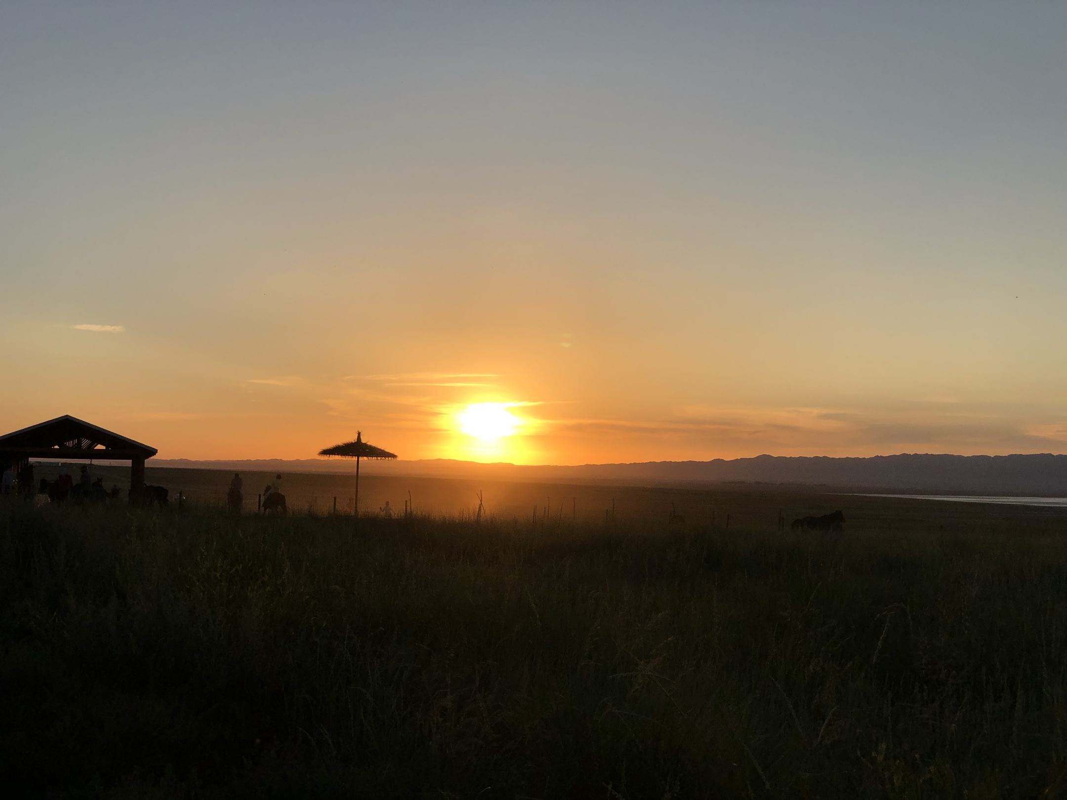 骆驼奶粉的功效与营养价值,骆驼奶粉和牛奶粉哪个营养价值高