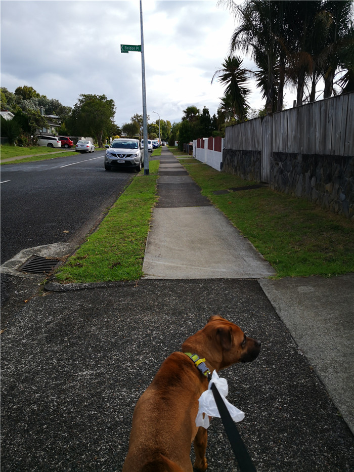 新西兰居住时间,新西兰居家办公