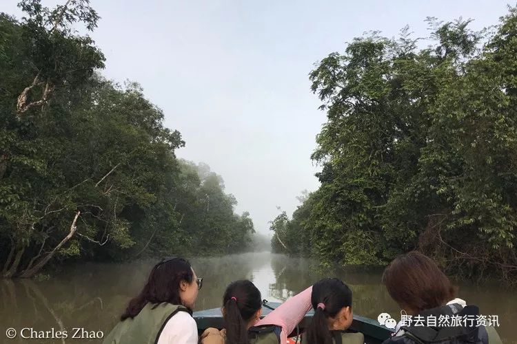 待疫情平息,和孩子一起探索“失落的世界”婆罗洲原始雨林